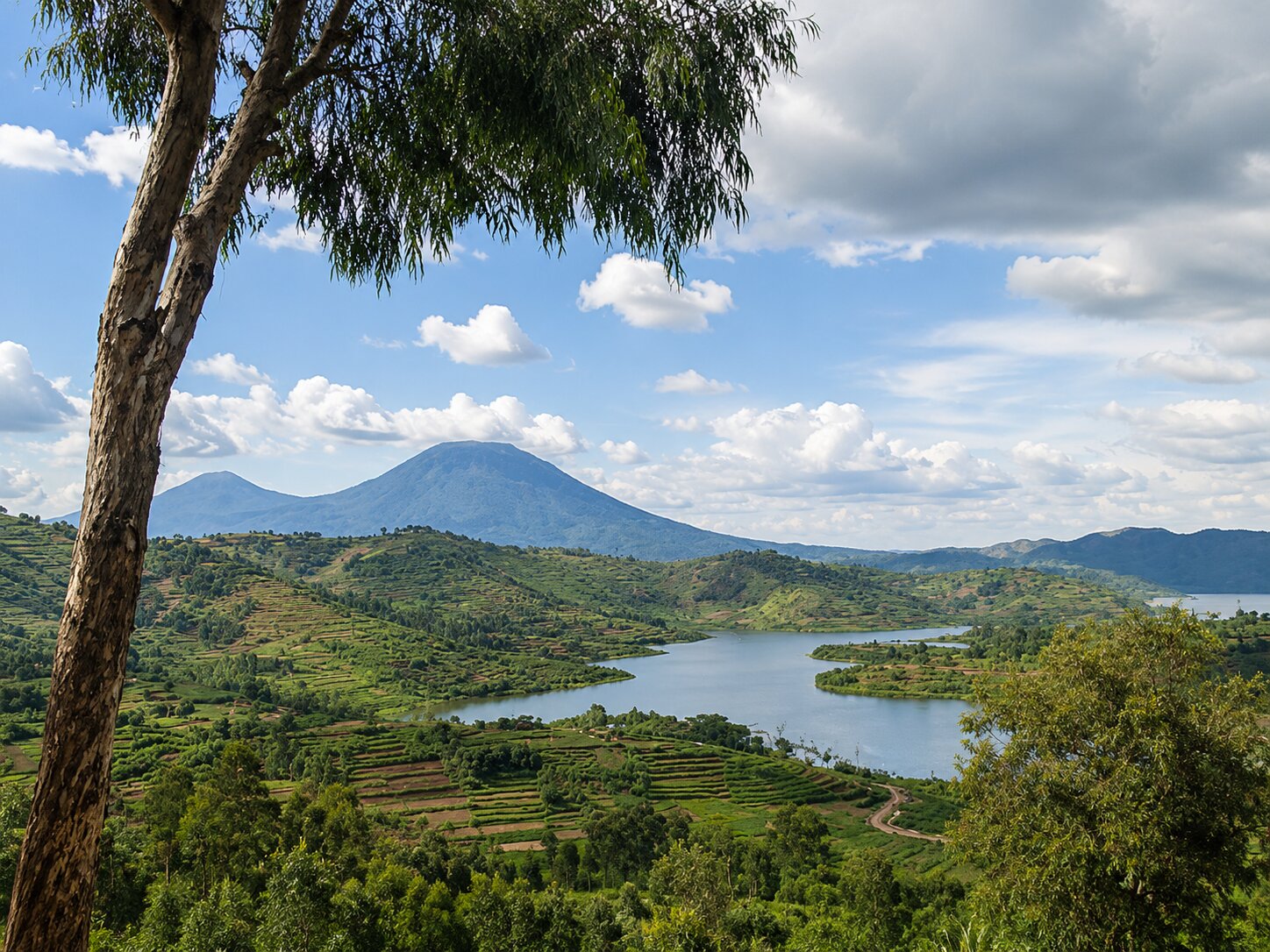 Overview Of Lake Kivu